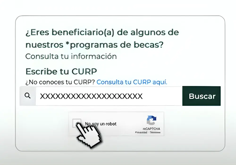 Consulta Final y Verificación de Pago